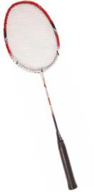 RAQUETA DE BADMINTON HQ-35 100% CARBONO