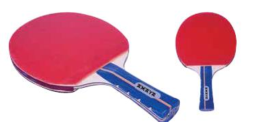 PALA TENIS MESA L5802 5 ESTRELLAS MANGO PRO