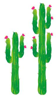 SET 2 CACTUS 180 CM Y 120 CM