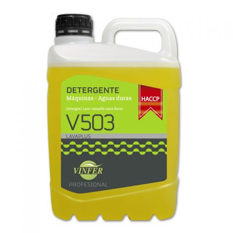 DETER AUTO AGUAS DURAS V503 5 L